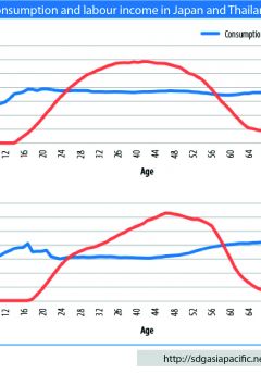 Annual per capita consumption and labour income in Japan and Thailand